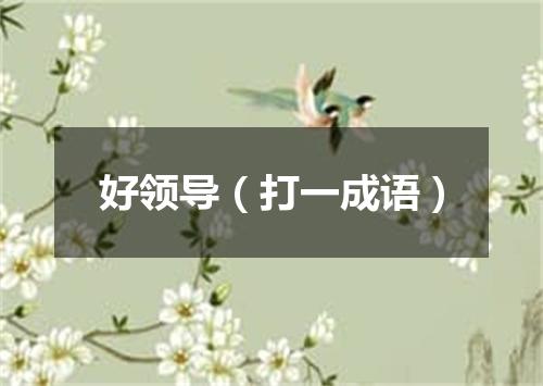 好领导（打一成语）