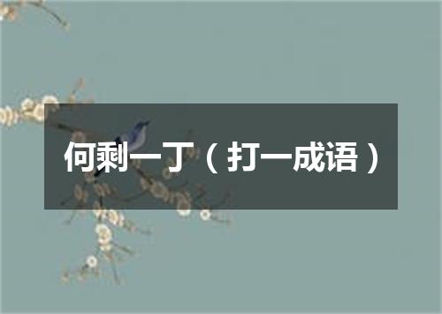 何剩一丁（打一成语）