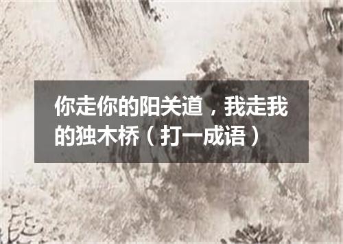 你走你的阳关道，我走我的独木桥（打一成语）