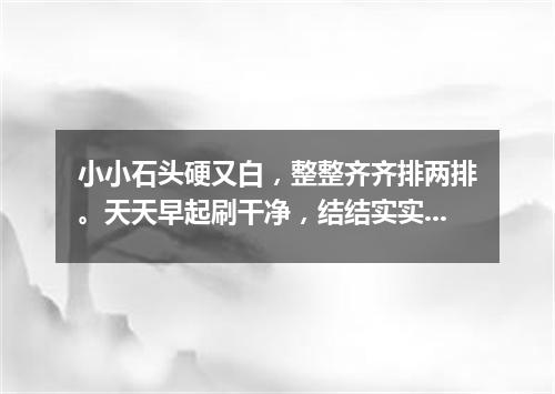 小小石头硬又白，整整齐齐排两排。天天早起刷干净，结结实实不爱坏。（打一人体器官）