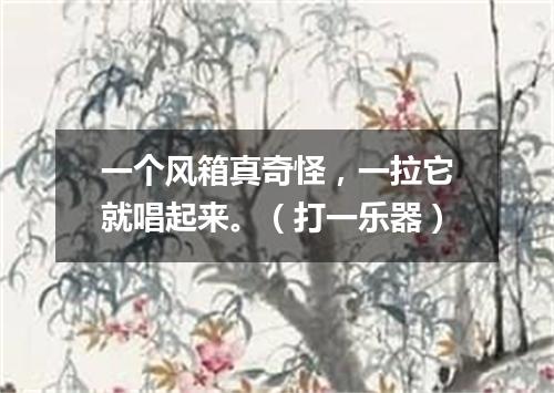 一个风箱真奇怪，一拉它就唱起来。（打一乐器）