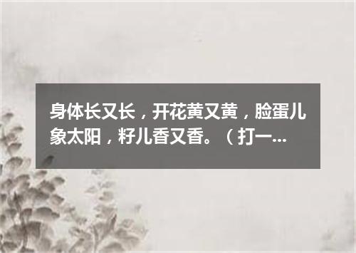 身体长又长，开花黄又黄，脸蛋儿象太阳，籽儿香又香。（打一植物）