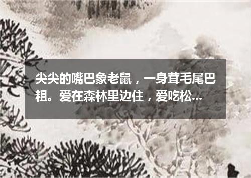 尖尖的嘴巴象老鼠，一身茸毛尾巴粗。爱在森林里边住，爱吃松子爱上树。（打一动物）