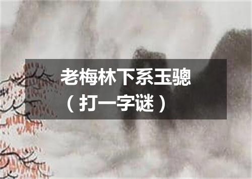 老梅林下系玉骢（打一字谜）