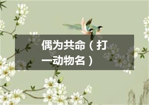 偶为共命（打一动物名）