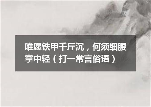 唯愿铁甲千斤沉，何须细腰掌中轻（打一常言俗语）