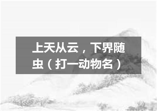 上天从云，下界随虫（打一动物名）