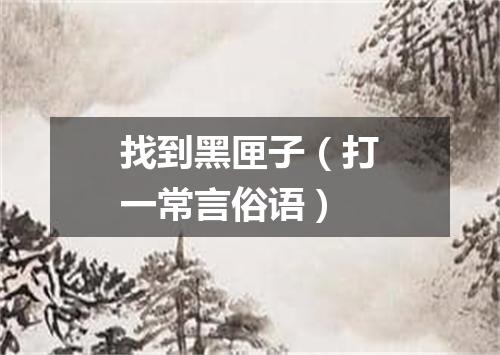 找到黑匣子（打一常言俗语）
