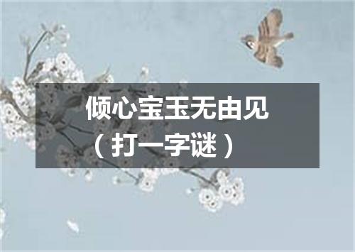 倾心宝玉无由见（打一字谜）