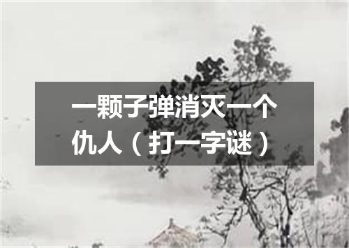 一颗子弹消灭一个仇人（打一字谜）