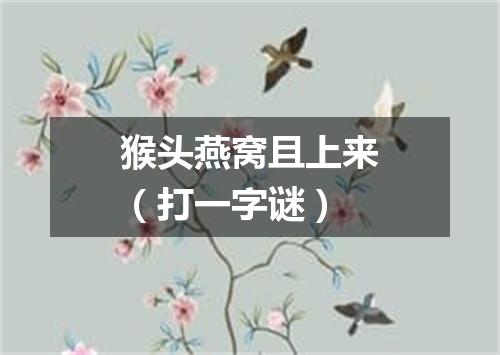 猴头燕窝且上来（打一字谜）