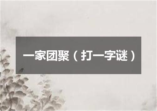 一家团聚（打一字谜）