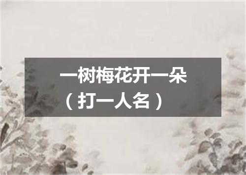 一树梅花开一朵（打一人名）