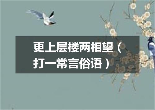 更上层楼两相望（打一常言俗语）
