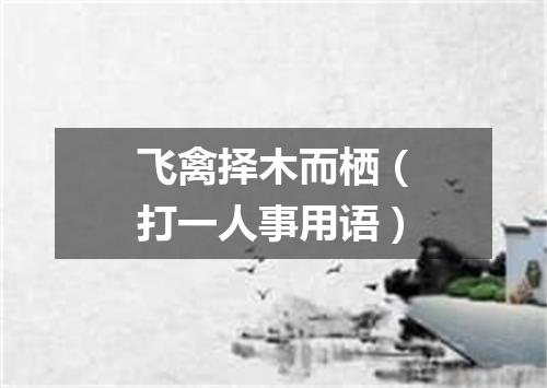 飞禽择木而栖（打一人事用语）
