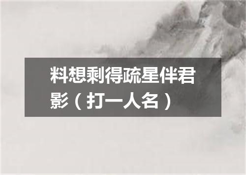 料想剩得疏星伴君影（打一人名）