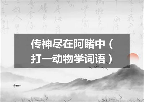 传神尽在阿睹中（打一动物学词语）