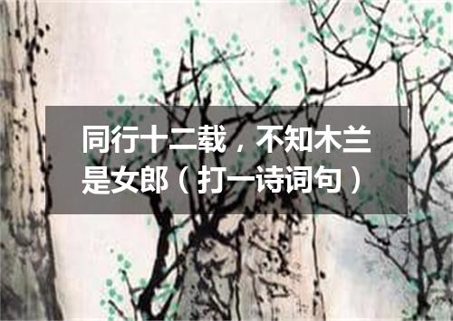 同行十二载，不知木兰是女郎（打一诗词句）