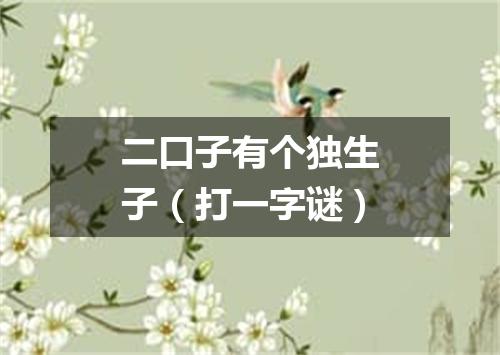 二口子有个独生子（打一字谜）