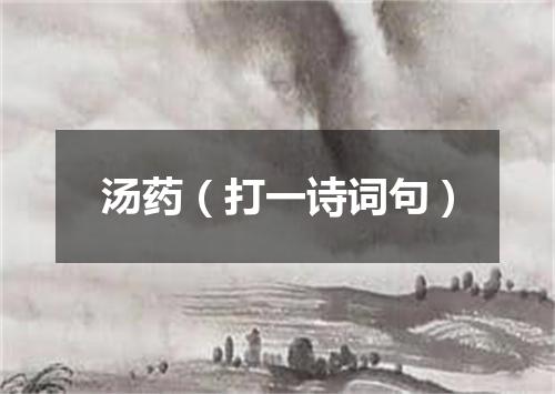 汤药（打一诗词句）