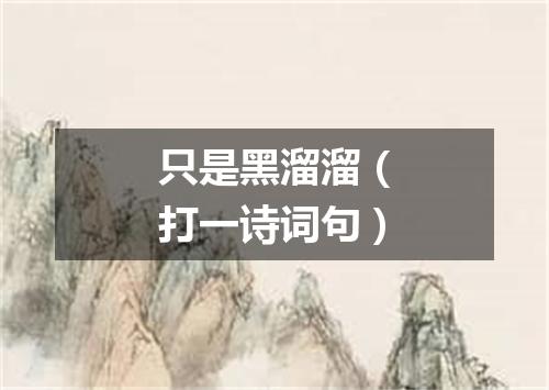 只是黑溜溜（打一诗词句）