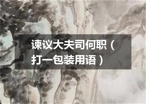 谏议大夫司何职（打一包装用语）