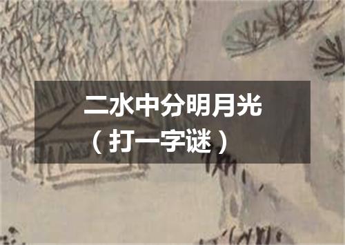二水中分明月光（打一字谜）