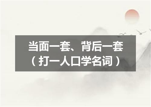 当面一套、背后一套（打一人口学名词）