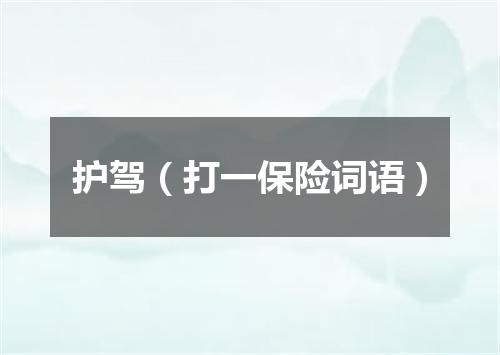 护驾（打一保险词语）