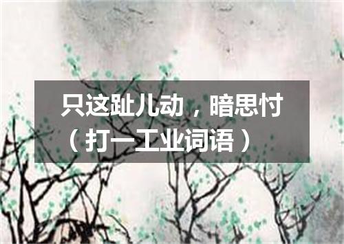 只这趾儿动，暗思忖（打一工业词语）