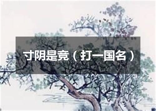 寸阴是竞（打一国名）