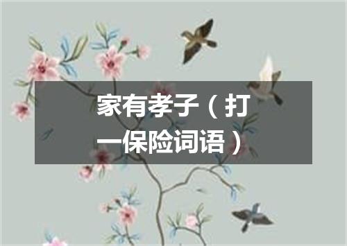 家有孝子（打一保险词语）