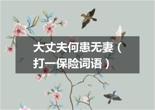 大丈夫何患无妻（打一保险词语）