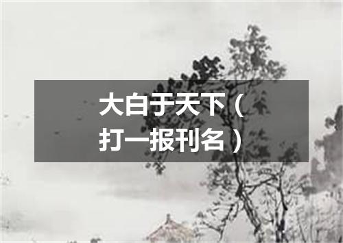大白于天下（打一报刊名）