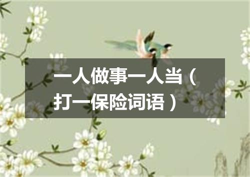 一人做事一人当（打一保险词语）