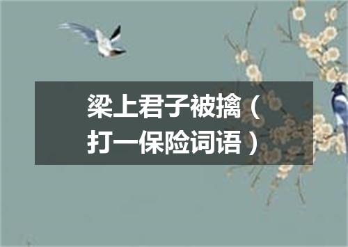 梁上君子被擒（打一保险词语）