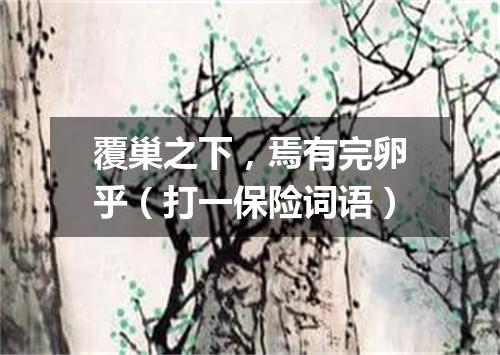 覆巢之下，焉有完卵乎（打一保险词语）