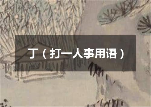 丁（打一人事用语）