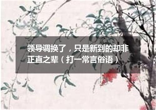 领导调换了，只是新到的却非正直之辈（打一常言俗语）