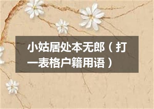 小姑居处本无郎（打一表格户籍用语）