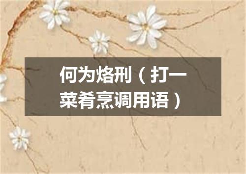 何为烙刑（打一菜肴烹调用语）