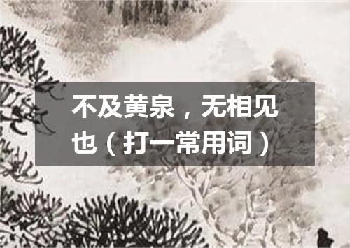 不及黄泉，无相见也（打一常用词）