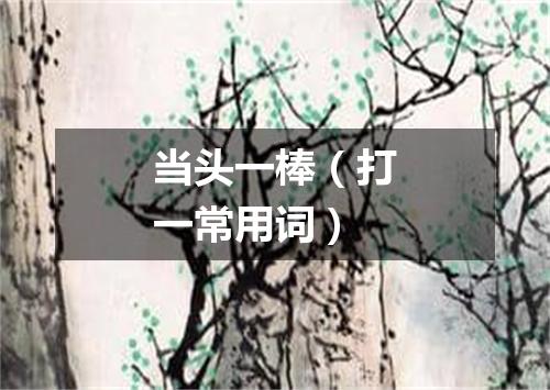 当头一棒（打一常用词）
