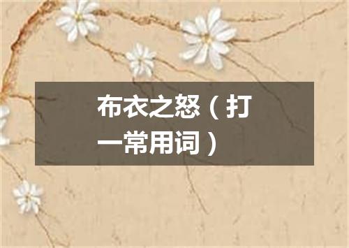 布衣之怒（打一常用词）