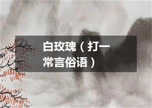 白玫瑰（打一常言俗语）