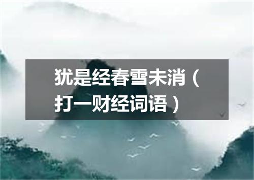 犹是经春雪未消（打一财经词语）