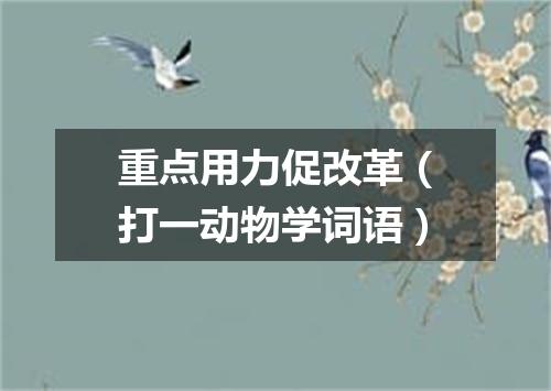 重点用力促改革（打一动物学词语）