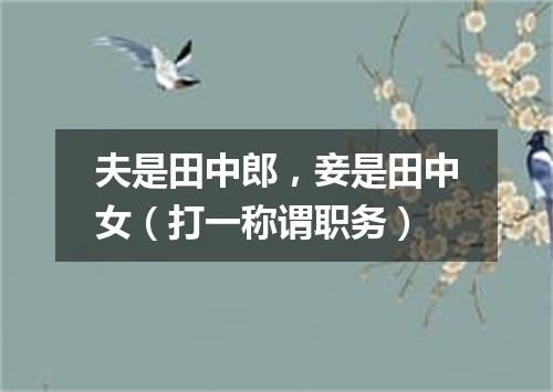 夫是田中郎，妾是田中女（打一称谓职务）