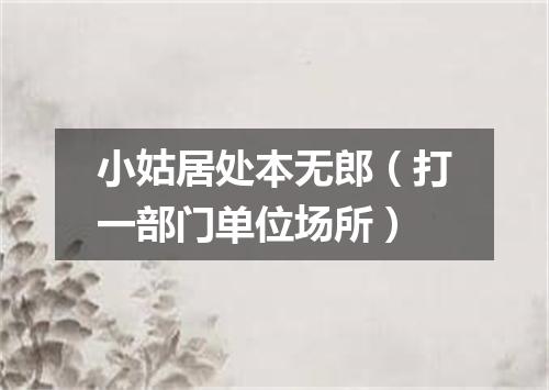 小姑居处本无郎（打一部门单位场所）