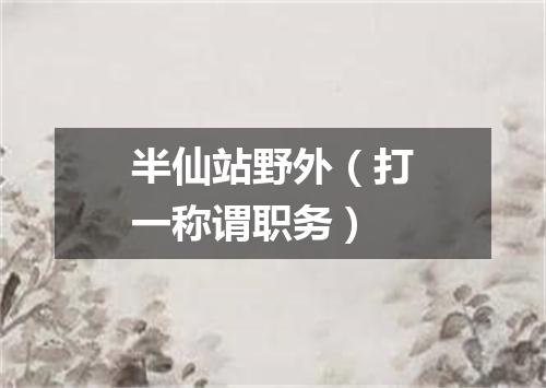 半仙站野外（打一称谓职务）